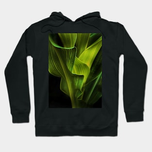 corn stalk Hoodie